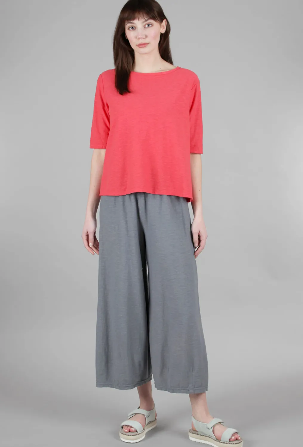 Shop Evie Lou Lj Darted Cropped Pants, Cobblestone
