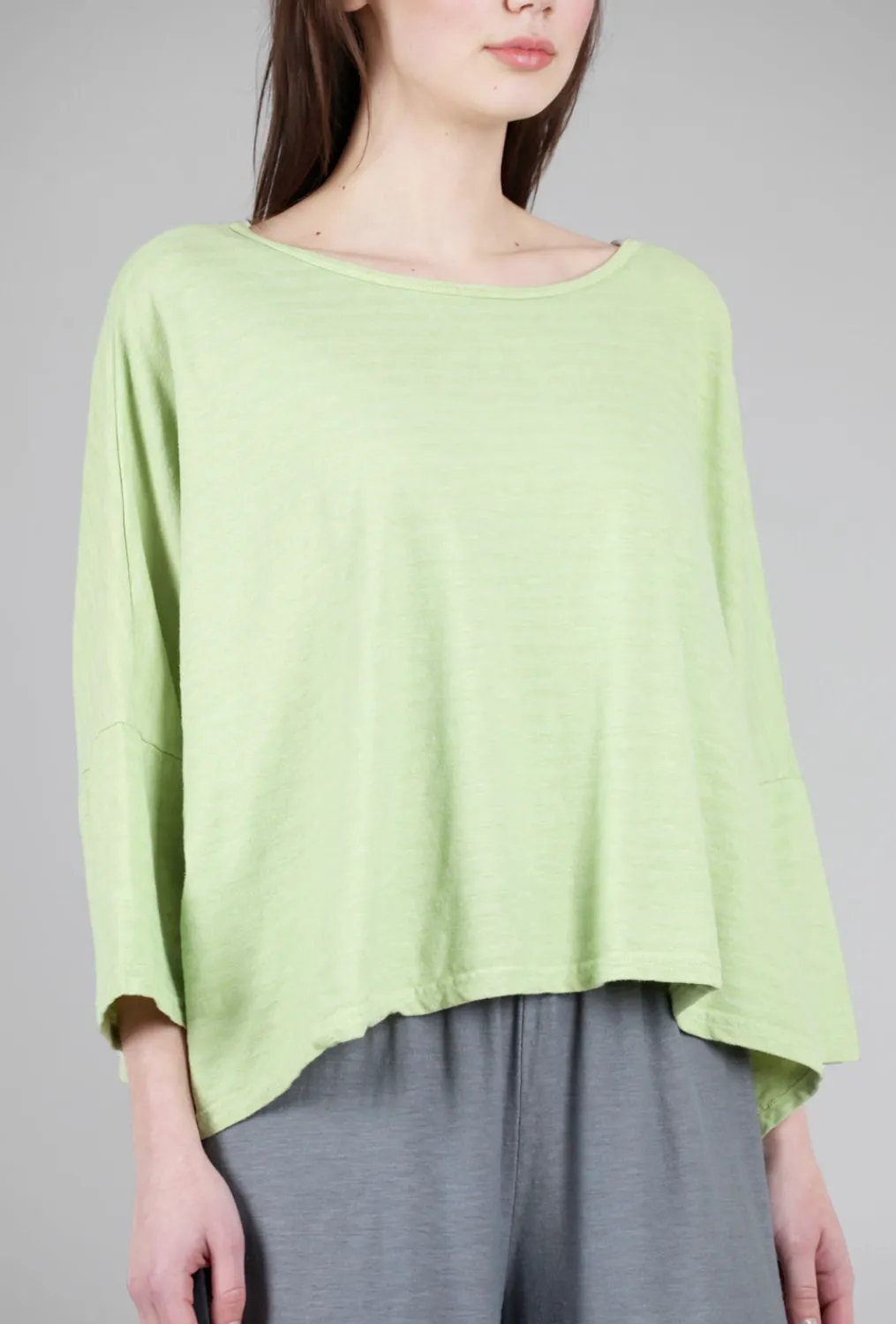 Cheap Evie Lou Shadow Stripe Crop Tee, Absinthe