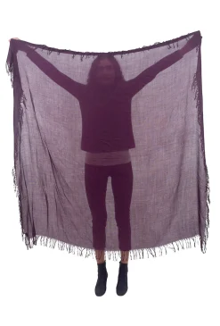 Discount Evie Lou Tissue Solid Scarf, Fig