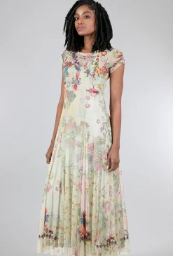 Store Evie Lou Verde Mesh Dress, Cream